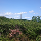 Obelisk of doom in the distance